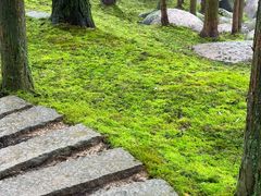 -玉苍山国家森林公园