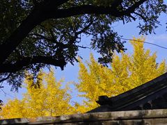 -隆福寺小吃店(东四店)