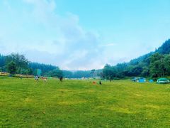 -武陵山森林公园