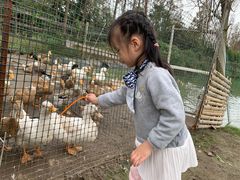 -前小桔亲子创意农场·草莓采摘·露营烧烤