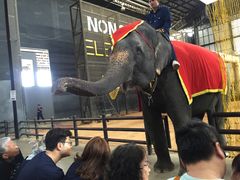 -东芭乐园
