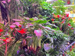-花鸟鱼虫鲜花绿植市场(玉泉路店)