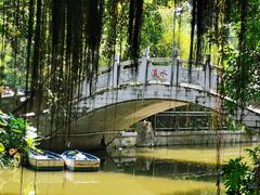 -小洲村