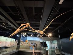 -墨尔本博物馆(Melbourne Museum)