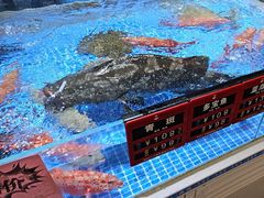 -皮记海鲜1995(寮步店)