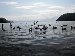 -泸沽湖里格半岛