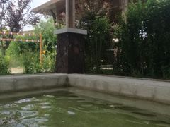 -大连金石滩绿发温泉假日酒店