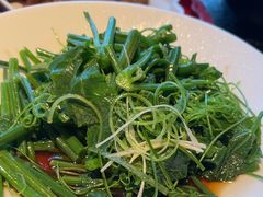 清炒丝瓜尖-局气 烤鸭·北京菜(光华路店)