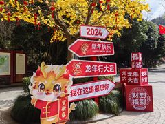 -云碧峰国家森林公园