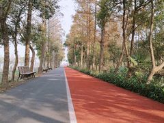 景点-上海长兴岛郊野公园