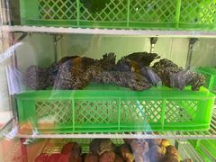 -山菌美食苑(振兴路店)
