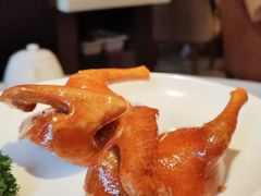 -利苑酒家(华熙国际店)