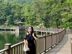 -沂蒙山旅游区云蒙景区(蒙山国家森林公园)