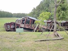 -上海海湾国家森林公园