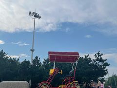 -日照海滨国家森林公园