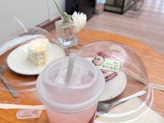 -有猫主题·治愈系猫咖(曾厝垵店)