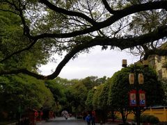-东西巷
