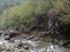 -众神白水涧景区