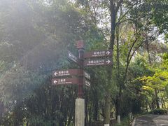 -铁山坪森林公园