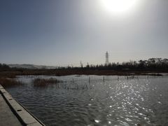 -党河风情线国家水利风景区