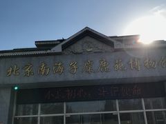 -北京麋鹿生态实验中心