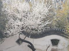 -宣武艺园