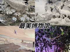 -中国湿地博物馆