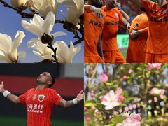 -上海体育场