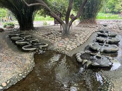 -成都市活水公园