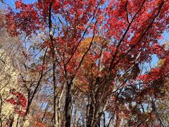 -关门山森林公园