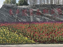 -东平国家森林公园