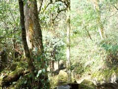 -西岭雪山大飞水景区