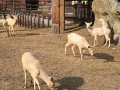 -祥源·阜阳生态乐园