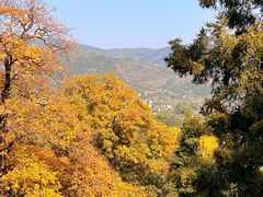 -香山公园