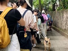 -成都老君山