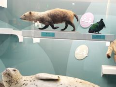 -国家自然博物馆