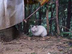 -广州市白云山风景名胜区