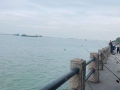 -大湾区中央湿地公园-十九涌