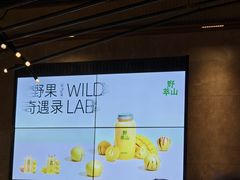 -野萃山·潮汕厚果汁(十亩地店)