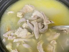 -15年老字号鑫鑫猪肚鸡·椰子鸡海南火锅(兴隆华侨农场店)