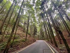 -山王坪喀斯特国家生态公园
