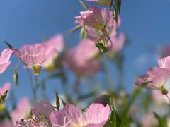 -奉浦四季生态园