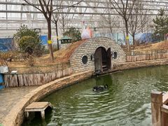 -南宫五洲植物乐园