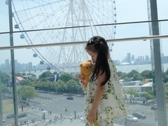 -南昌之星摩天轮