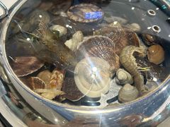 -大锅强·蒸海鲜青岛菜(金沙滩店)