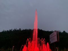 -夜不收荤豆花(大邑总店)