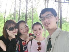 -溱湖国家湿地公园