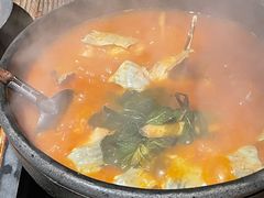酸汤鱼-毛辣果·酸