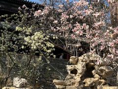 -潭柘寺景区