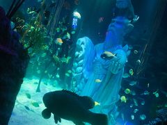 -沈阳海洋探索中心